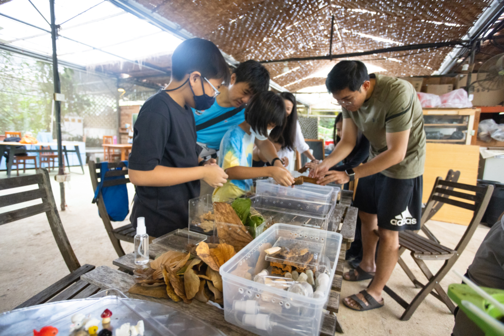 Participants engaging in a CYAN nature workshop in Singapore